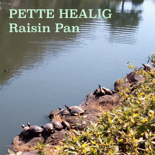 Pette Healig : Raisin Pan